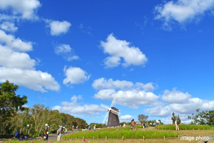 鶴見緑地公園のイメージ画像